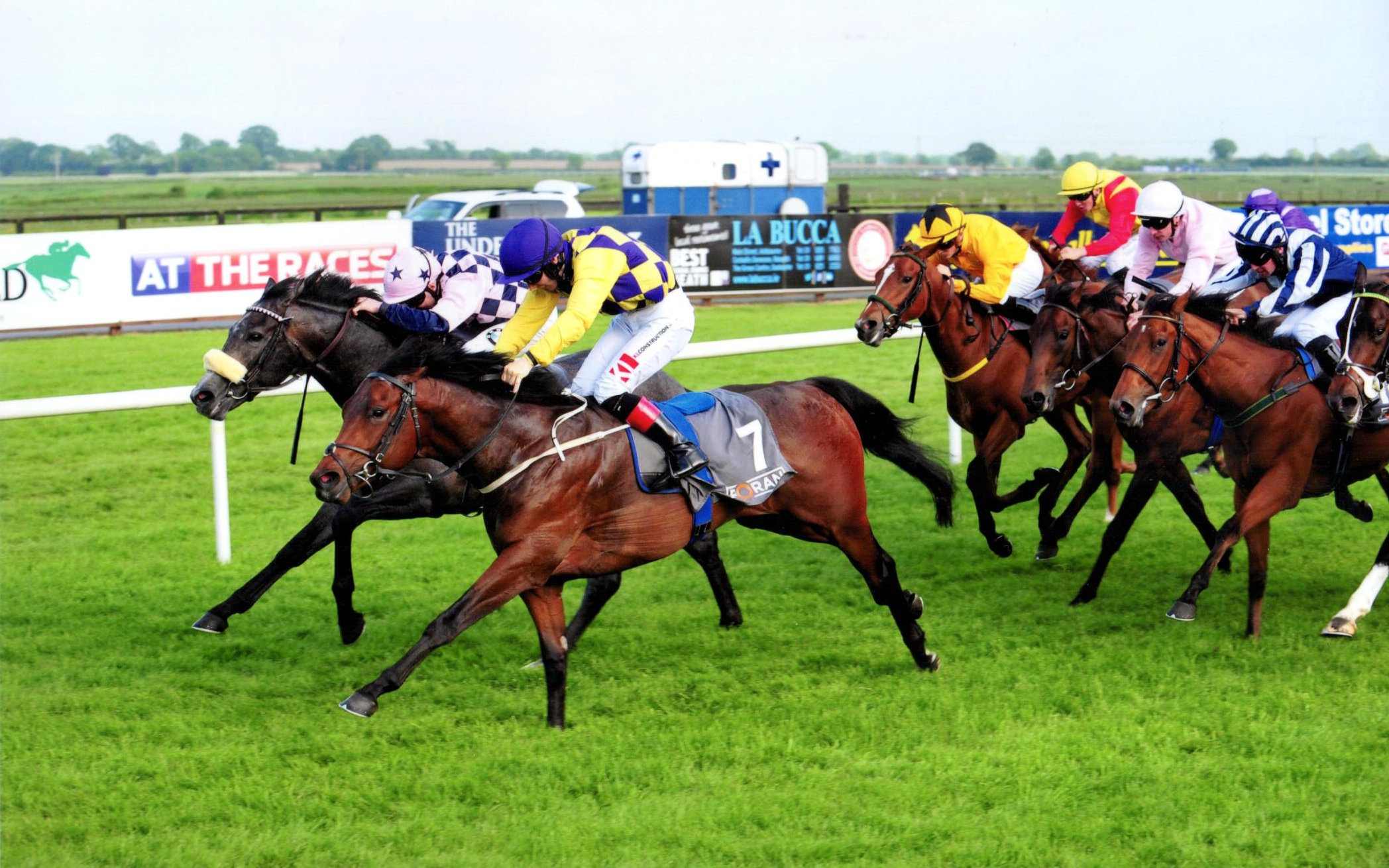 HEAVENLY RAINBOW is the second of our three winners at Fairyhouse, 31st May 2018